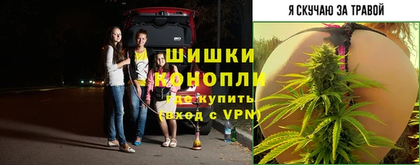 стаф Михайлов