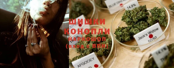 стаф Михайлов