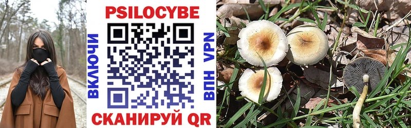 где продают наркотики  mega как войти  Псилоцибиновые грибы Cubensis  Комсомольск 